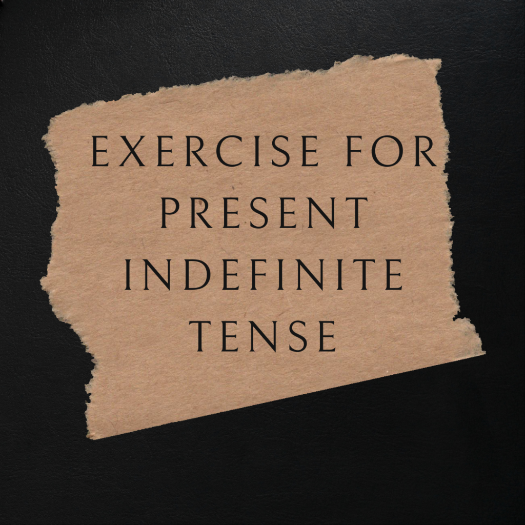 present indefinite tense exercises